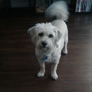 Meet your Posher, Nikki